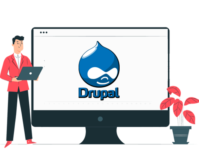 Drupal Web Development 